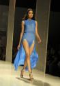 WIFW Spring Summer 2014 Rohit Gandhi & Rahul Khanna Collections